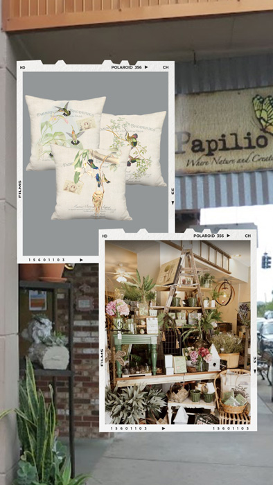 stockist Papilio